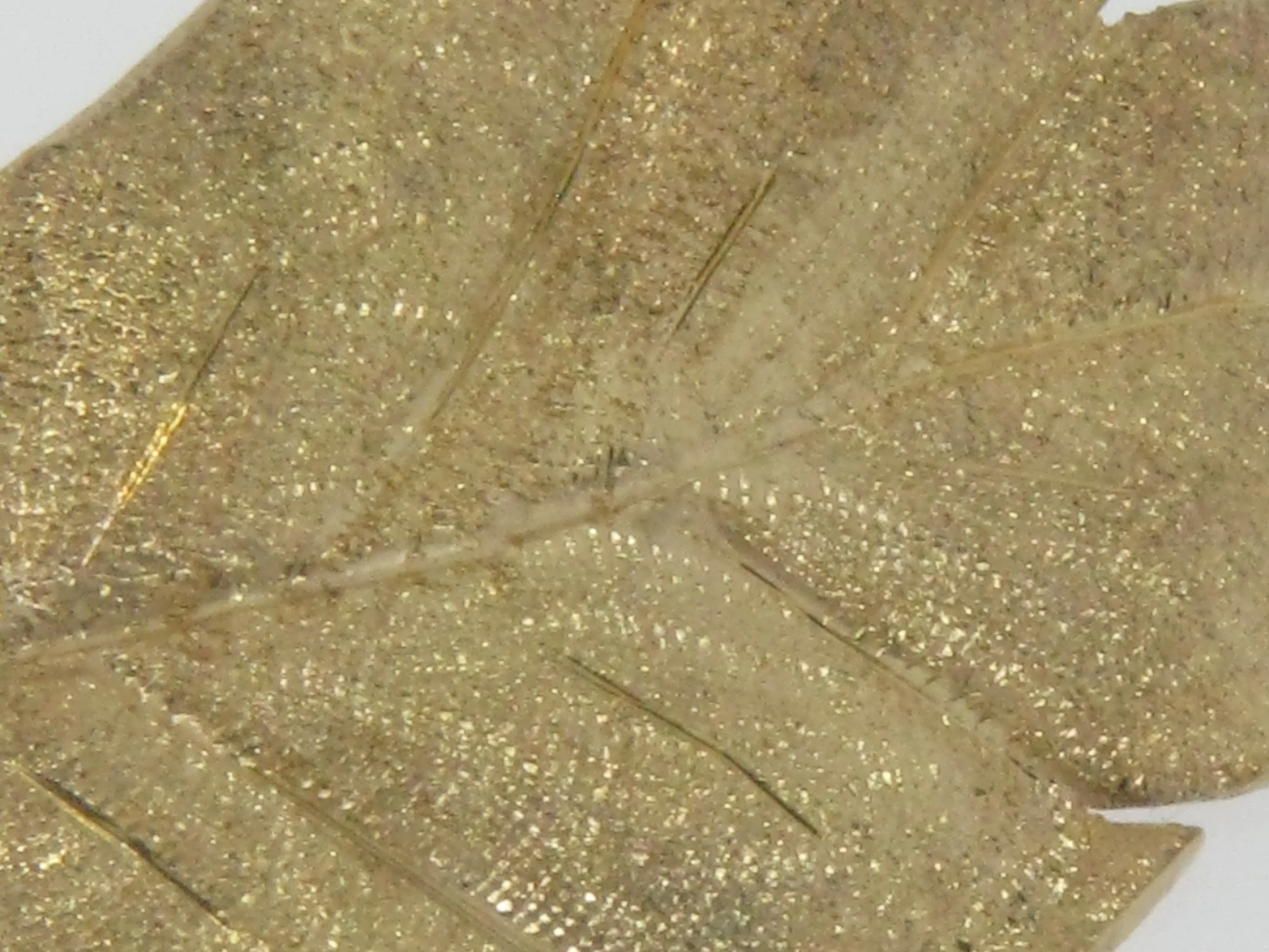 18K Yellow Gold Hand Engraved Florentine Finish Leaf Pin/Brooch (Estate Jewelry)