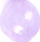 Destination: NYC Mother of Pearl Shell Gemstone Bead Necklace