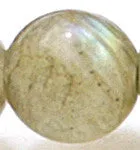 Destination: NYC Mother of Pearl Shell Gemstone Bead Necklace