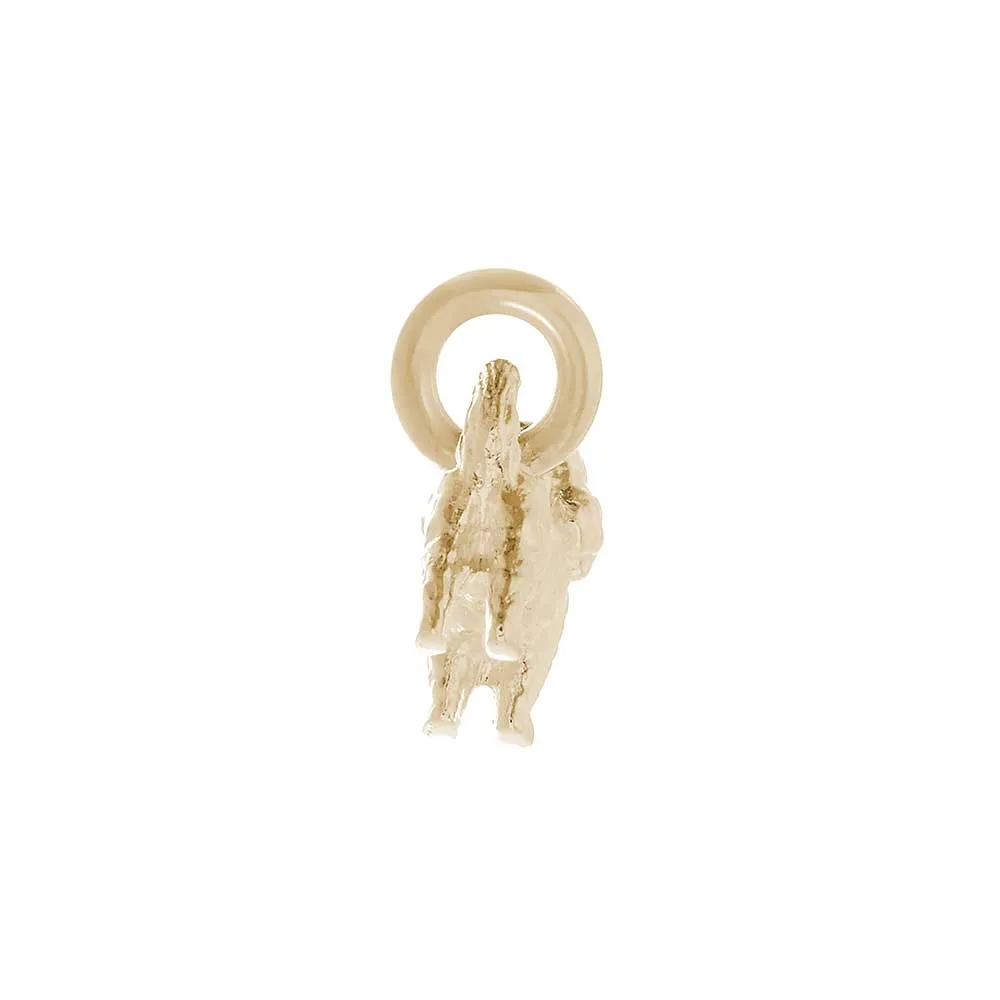 Maltipoo Solid Gold Dog Charm